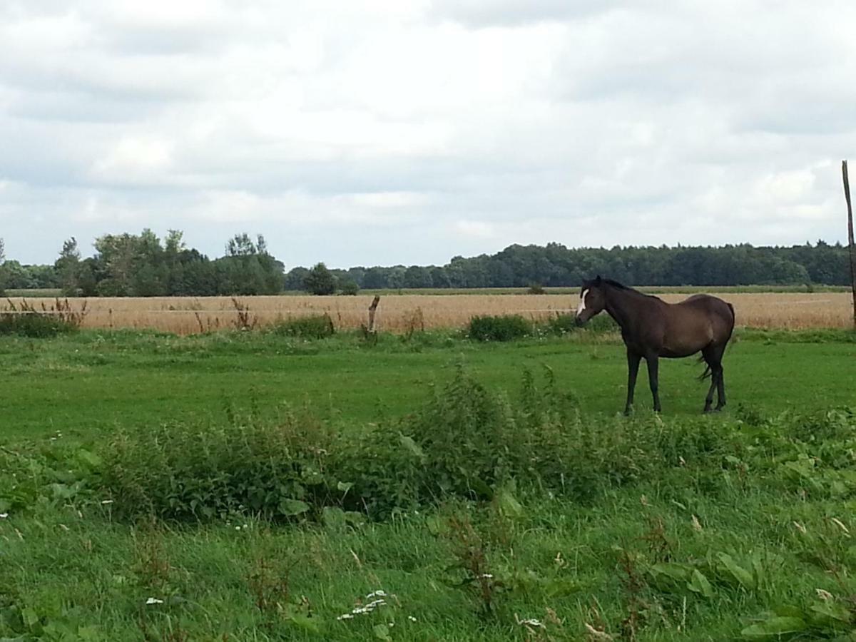 Ferienhaeuser Im Ferienhausgebiet Hof Beel Hébergement de vacances
